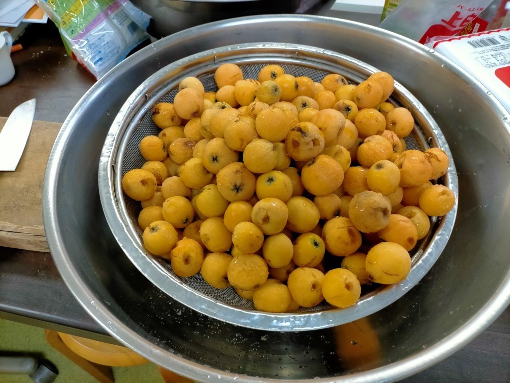 f:id:mikawawan:20210618002553j:plain