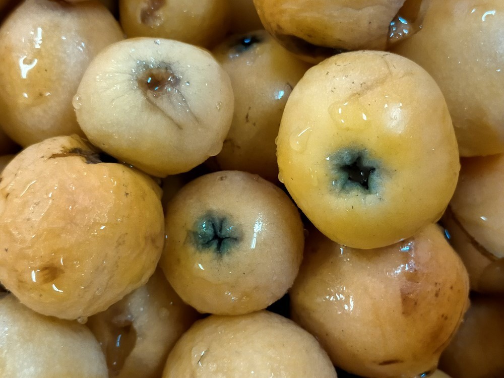 f:id:mikawawan:20210618003045j:plain