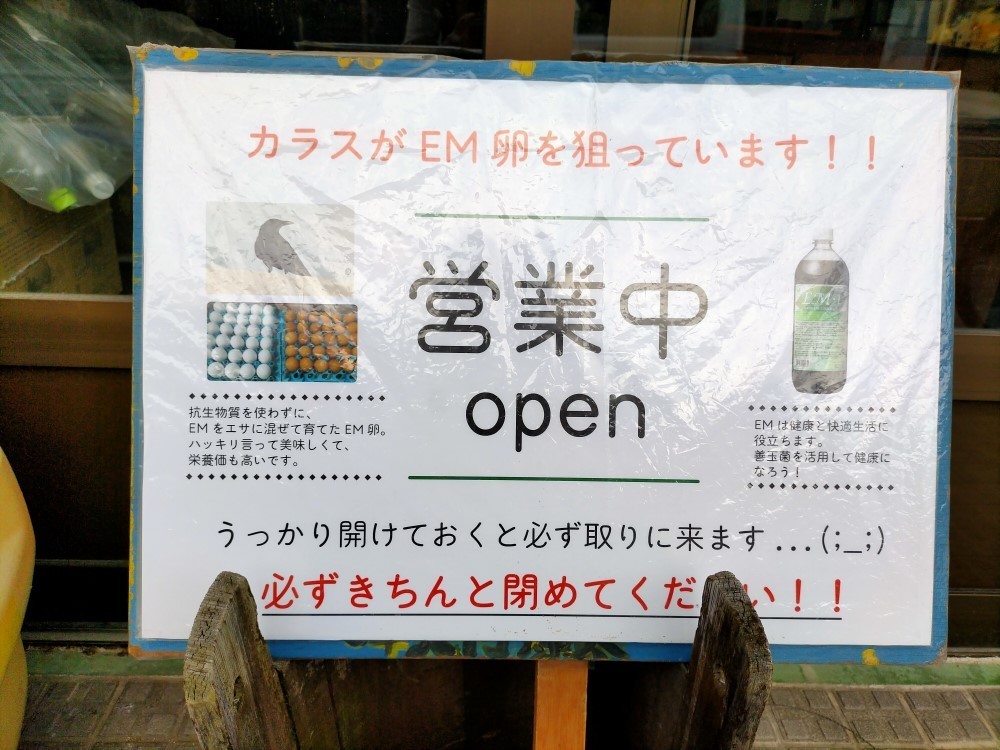 f:id:mikawawan:20210620185622j:plain