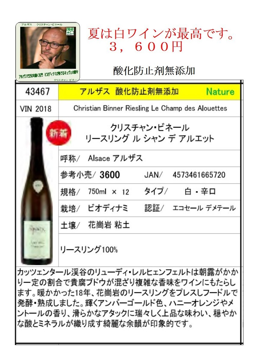 f:id:mikawawan:20210825181133j:plain