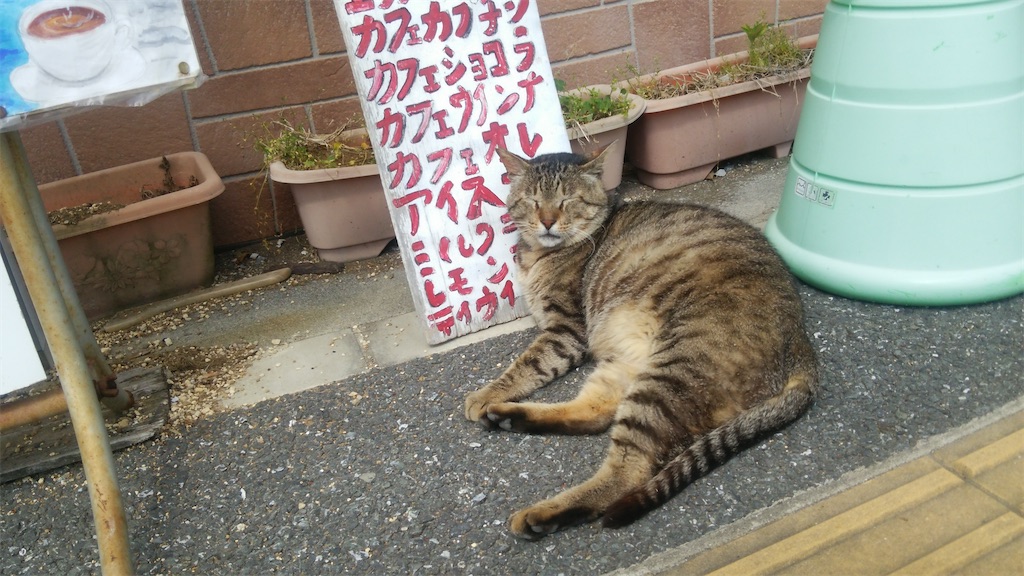 f:id:mike-cat5R3n:20210711012743j:image f:id:mike-cat5R3n:20210711012743j:image