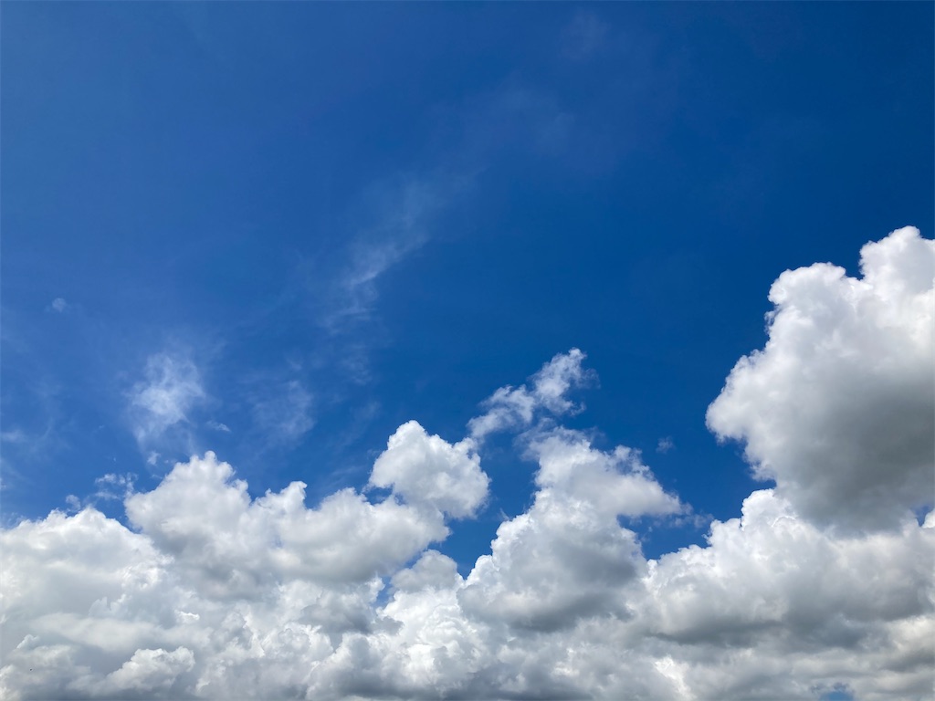 f:id:mike-cat5R3n:20210716163638j:image f:id:mike-cat5R3n:20210716163638j:image