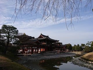 f:id:mike_kota:20200213132223j:plain