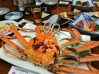 f:id:mike_kota:20200405163404j:plain