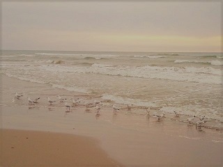 f:id:mike_kota:20200405163622j:plain