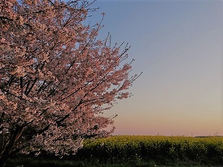 f:id:mike_kota:20200517165557j:plain