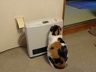 f:id:mike_kota:20200517165805j:plain