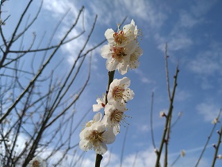 f:id:mike_kota:20210425075545j:plain