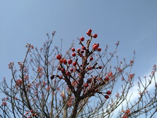 f:id:mike_kota:20210425075605j:plain