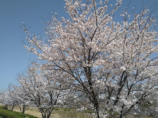 f:id:mike_kota:20210425075629j:plain