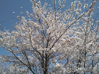 f:id:mike_kota:20210425075645j:plain