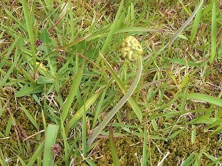 f:id:mike_kota:20210622195635j:plain