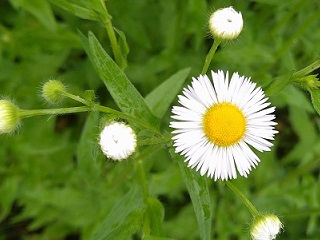 f:id:mike_kota:20210622214337j:plain