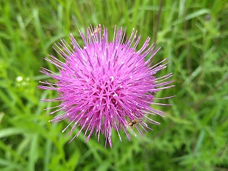 f:id:mike_kota:20210622214555j:plain