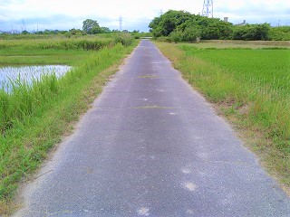 f:id:mike_kota:20210726135309j:plain