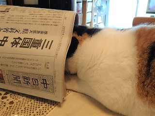 f:id:mike_kota:20210928174704j:plain