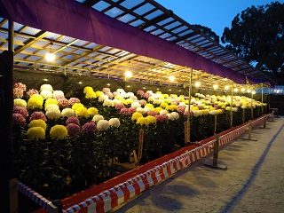 f:id:mike_kota:20220108073059j:plain