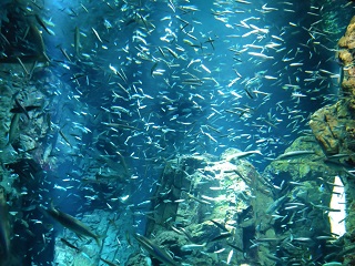 f:id:mike_kota:20220110212938j:plain