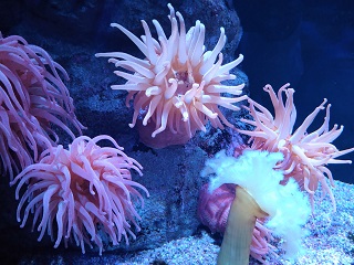 f:id:mike_kota:20220110212956j:plain