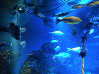 f:id:mike_kota:20220110213040j:plain