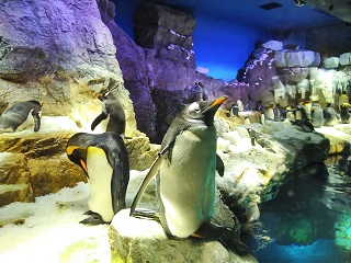 f:id:mike_kota:20220110213050j:plain