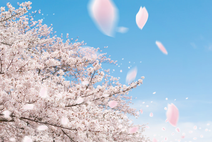 f:id:mike_pop:20190328220448j:plain