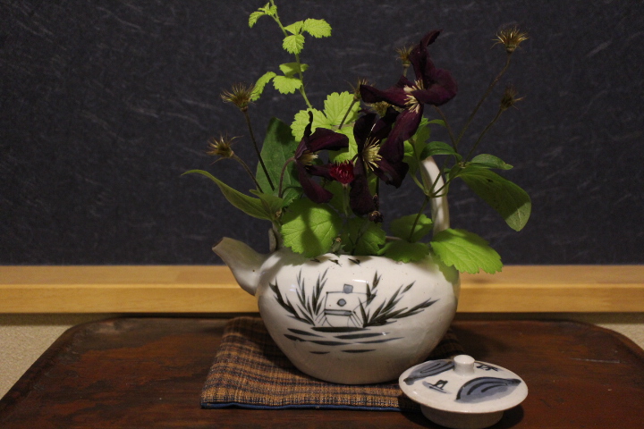 クレマチス　ロマンチカ　茶花　骨董
