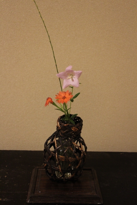 茶花、古い小さな籠網に桔梗とセンノウゲ