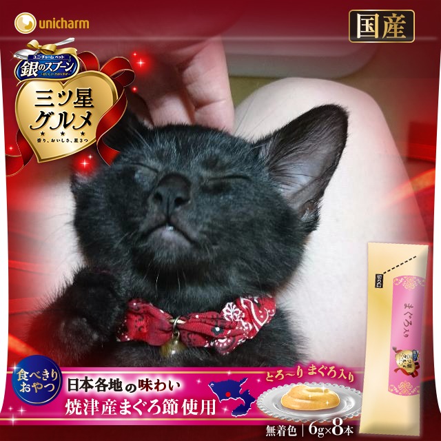 f:id:mikecyatora:20190222003458j:plain f:id:mikecyatora:20190222003458j:plain