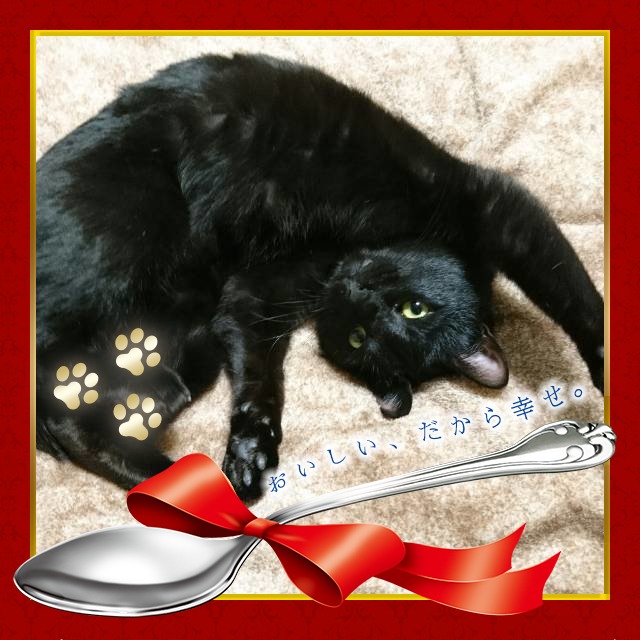 f:id:mikecyatora:20190222003557j:plain f:id:mikecyatora:20190222003557j:plain