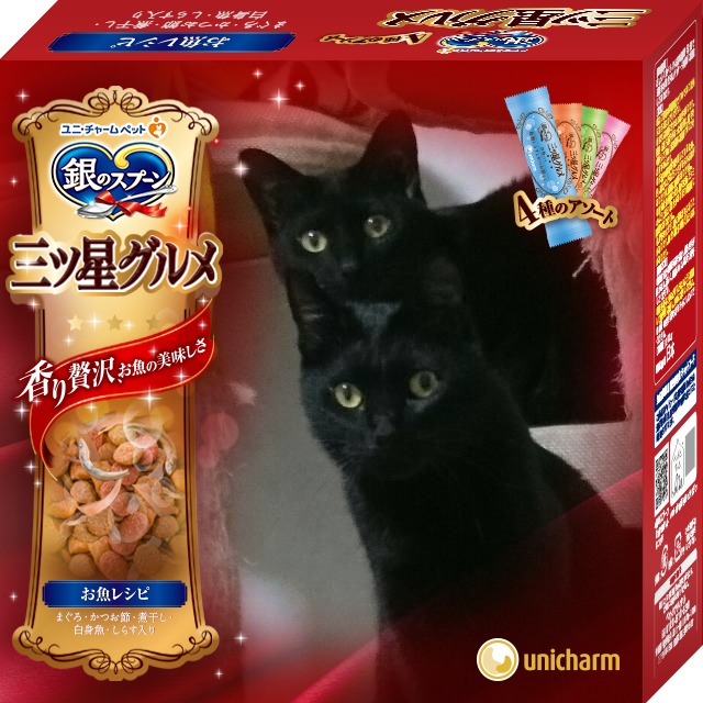f:id:mikecyatora:20190222003605j:plain f:id:mikecyatora:20190222003605j:plain