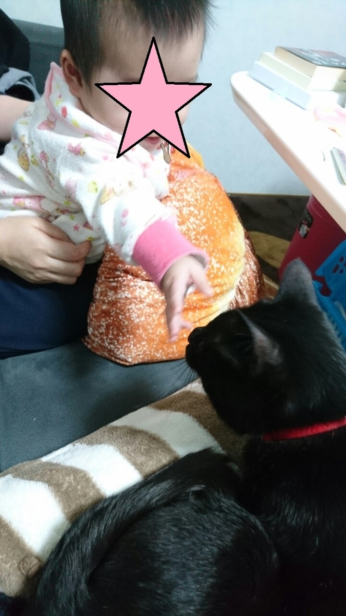 f:id:mikecyatora:20190315171144j:plain