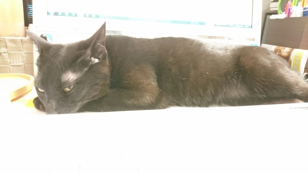 f:id:mikecyatora:20190315172525j:plain