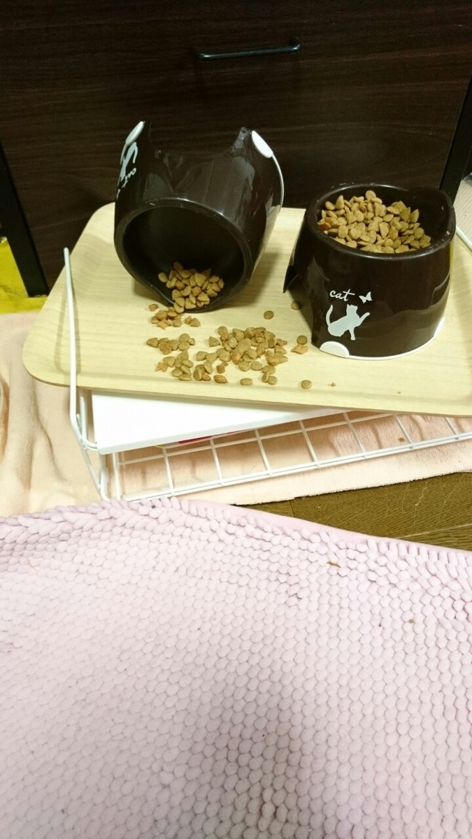 f:id:mikecyatora:20190316160700j:plain