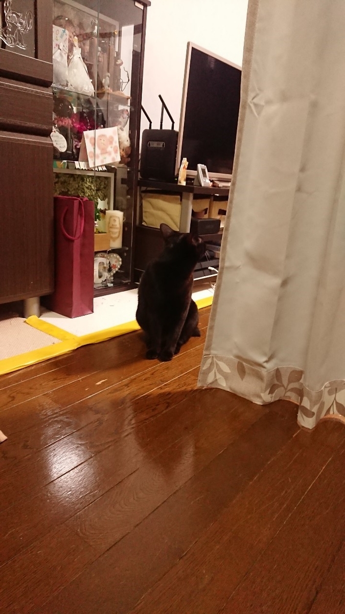 f:id:mikecyatora:20190316162410j:plain