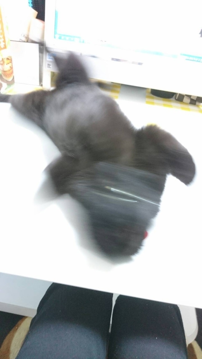f:id:mikecyatora:20190403013155j:plain f:id:mikecyatora:20190403013155j:plain