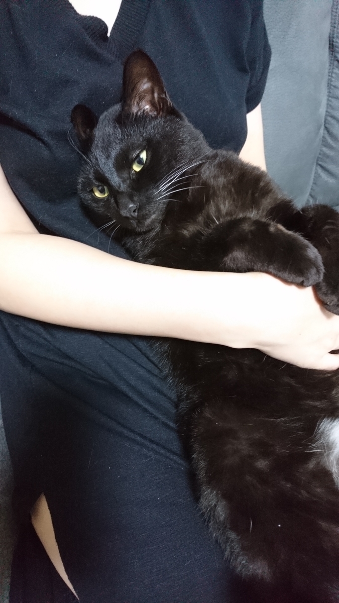 f:id:mikecyatora:20190819231244j:plain