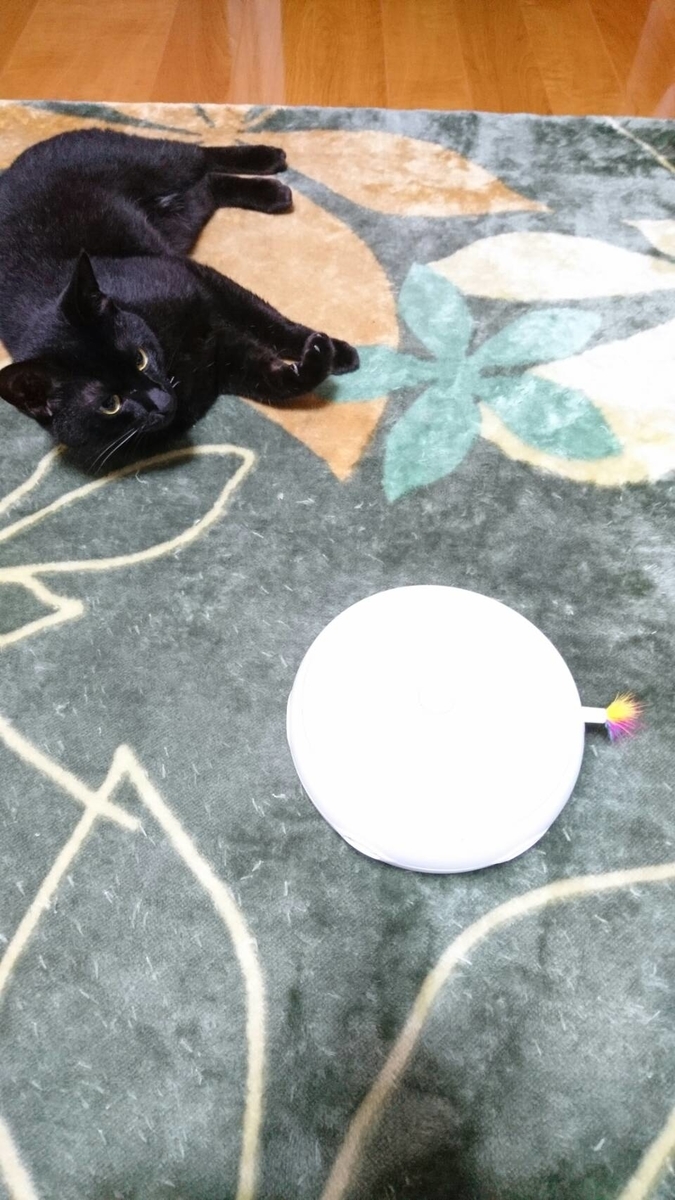 f:id:mikecyatora:20190819232522j:plain