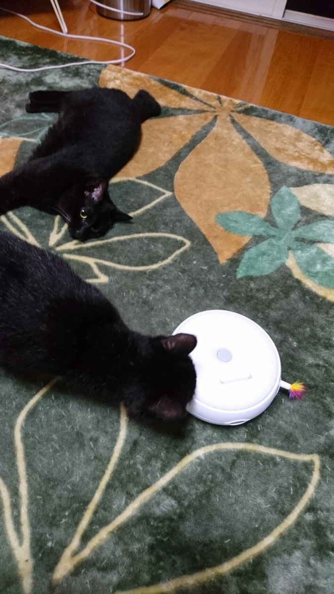 f:id:mikecyatora:20190819232642j:plain