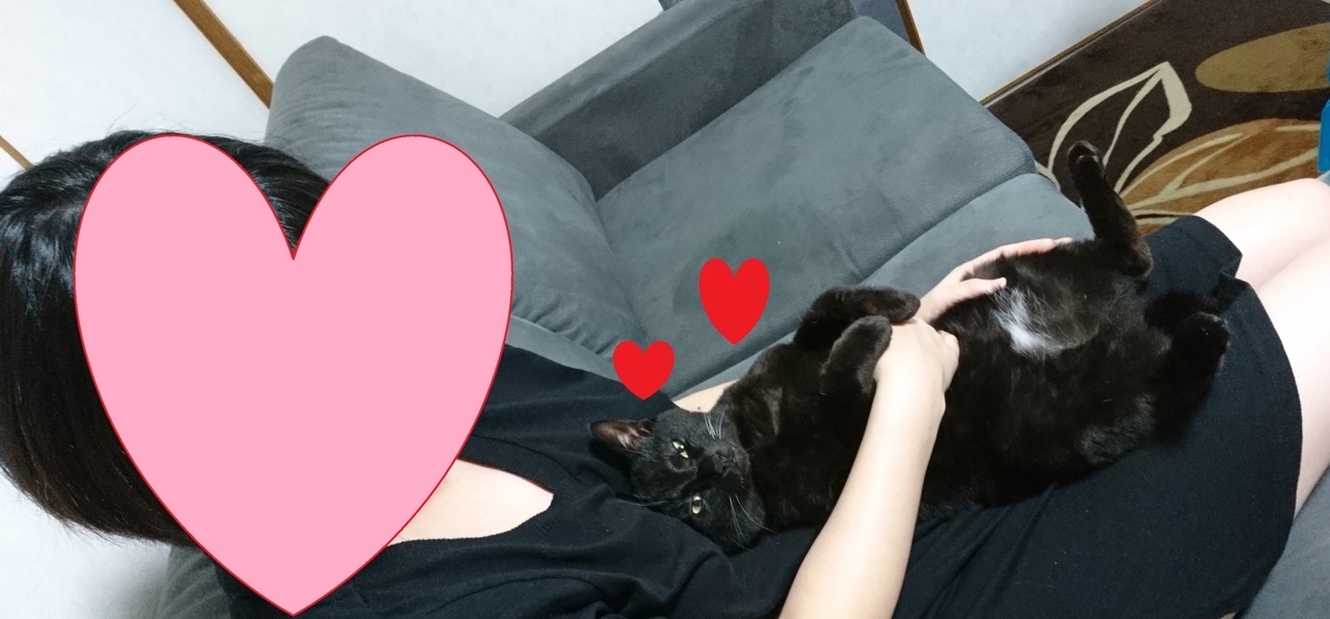 f:id:mikecyatora:20190820010418j:plain