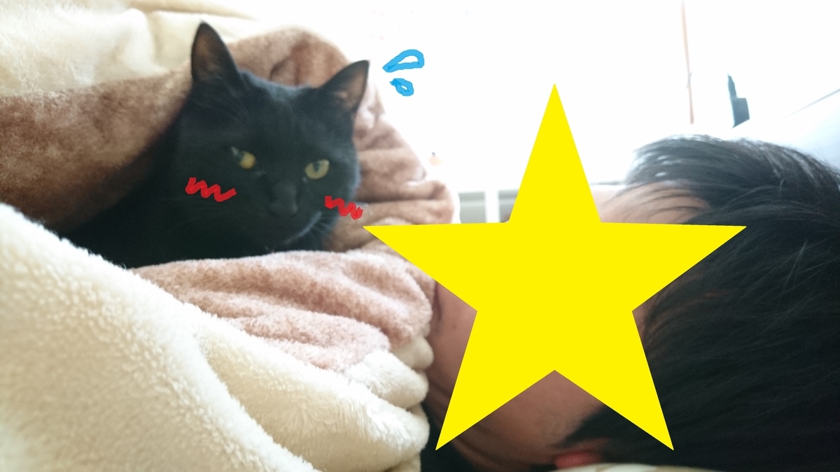 f:id:mikecyatora:20190820010939j:plain