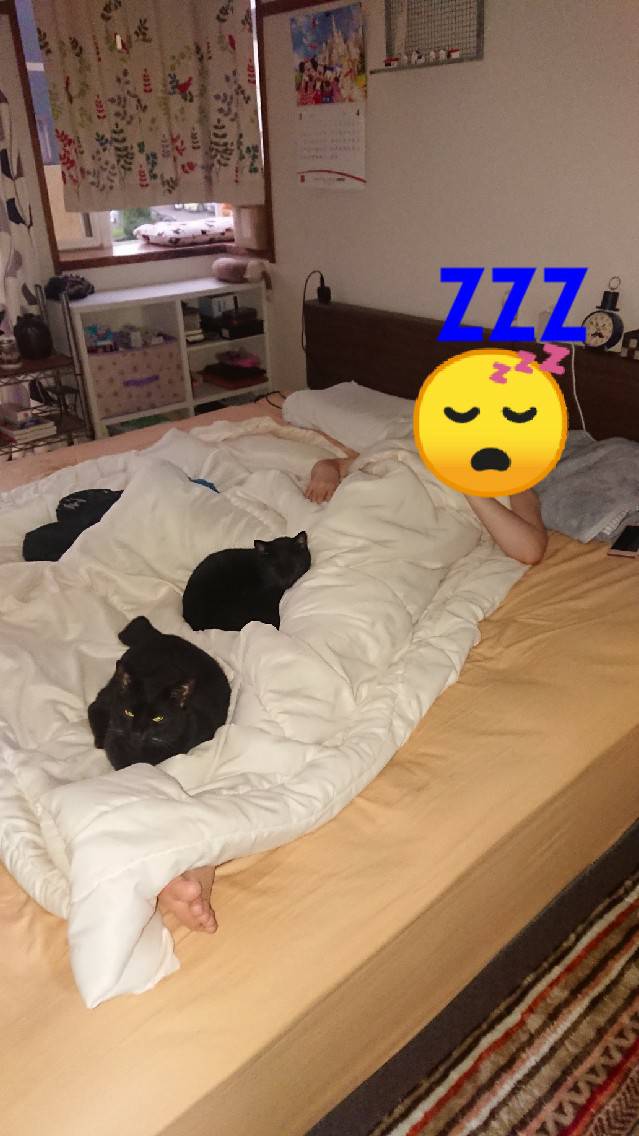 f:id:mikecyatora:20190820013030j:plain