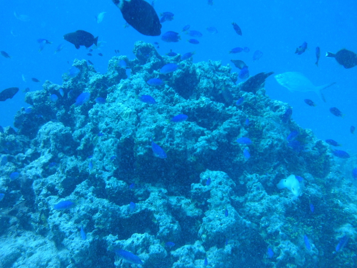 f:id:mikecyatora:20190905104706j:plain f:id:mikecyatora:20190905104706j:plain