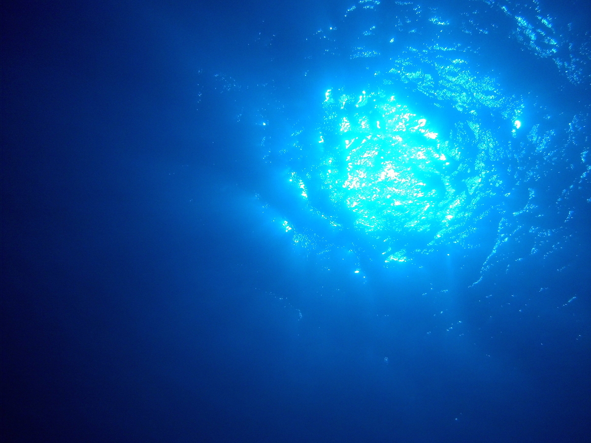 f:id:mikecyatora:20190905105021j:plain f:id:mikecyatora:20190905105021j:plain