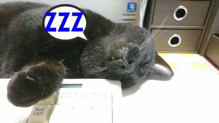 f:id:mikecyatora:20190905122902j:plain f:id:mikecyatora:20190905122902j:plain