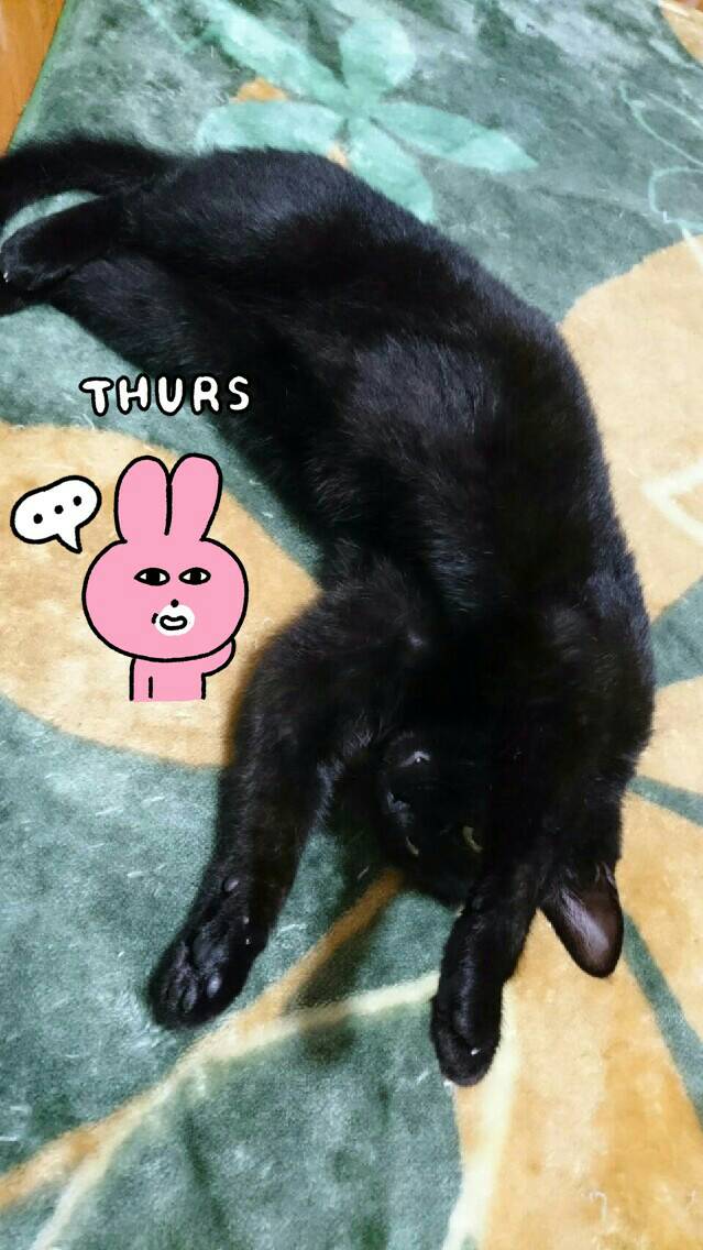 f:id:mikecyatora:20190905122952j:plain f:id:mikecyatora:20190905122952j:plain