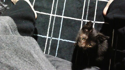 f:id:mikecyatora:20190926182727j:plain f:id:mikecyatora:20190926182727j:plain