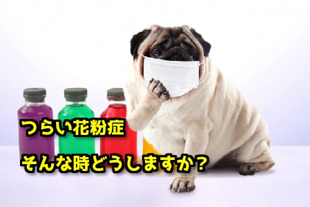 f:id:mikekepeter:20180409220113j:plain f:id:mikekepeter:20180409220113j:plain