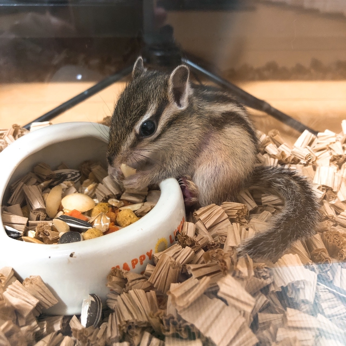 f:id:mikekepeter:20190422213402j:plain f:id:mikekepeter:20190422213402j:plain