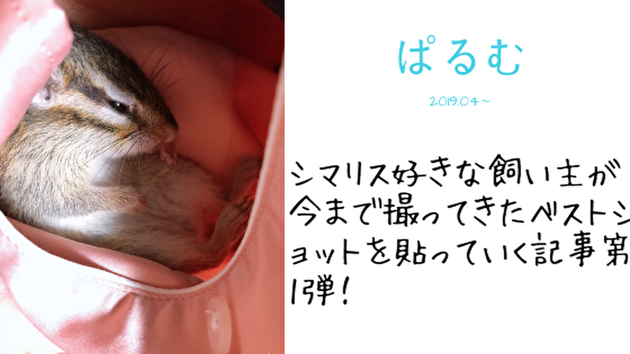 f:id:mikekepeter:20190528120707p:plain f:id:mikekepeter:20190528120707p:plain